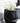Black Labradoodle Basket