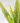 Faux Flat Fern Spray