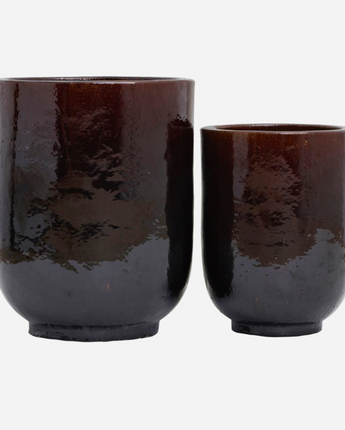 Coffee Bean Planter