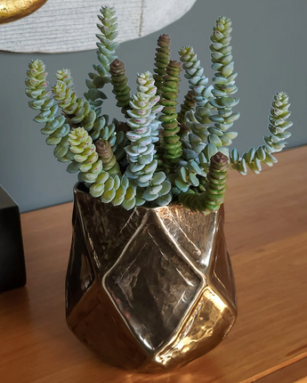 Faux Crassula Succulent Branch