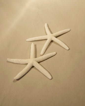 Authentic Starfish
