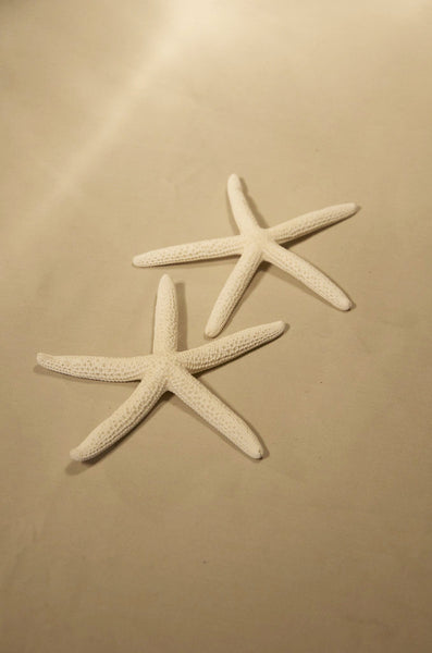 Authentic Starfish