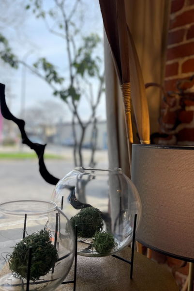 Glass Terrarium / Vase with Stand