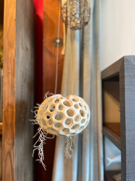 Sculptural Hanging Air Planter