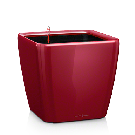 Red Self Watering Planter